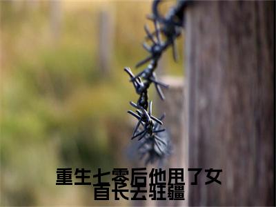 小说重生七零后他甩了女首长去驻疆小说已更新+番外篇章（江令远徐宁湘）纯净阅读