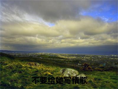 不要给她写情歌小说完本+番外（叶星赫徐荧）畅享阅读