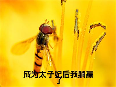成为太子妃后我躺赢了 布尔和胤礽：+后续热血十足+延伸+完本（成为太子妃后我躺赢了）畅享在线阅读