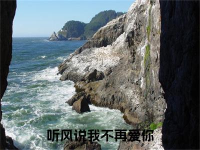 陆禹城宋青末终章（听风说我不再爱你）完整章节列表_笔趣阁