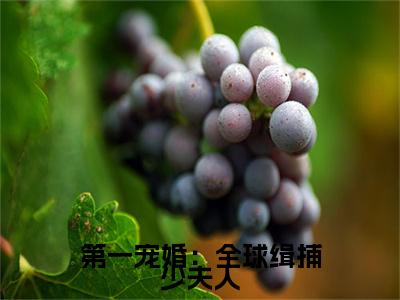 尹凌澈顾安安小说(第一宠婚：全球缉捕少夫人)小说全集在线下载_章节前文+后续（尹凌澈顾安安）