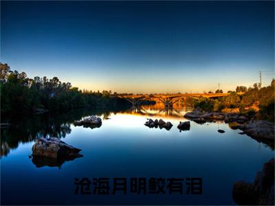 （头条）沧海月明鲛有泪(江霖蓝月明)整本免费版阅读无广告（沧海月明鲛有泪）