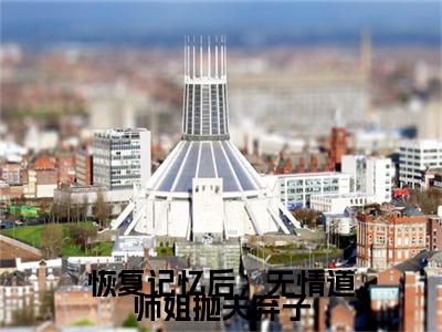 小说恢复记忆后，无情道师姐抛夫弃子小说已更新+番外篇章（李杳溪亭陟）纯净阅读