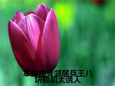 军婚团宠邻居兵王八块腹肌太诱人小说(陆今安程颜青)小说全集在线下载_章节前文+后续（军婚团宠邻居兵王八块腹肌太诱人）