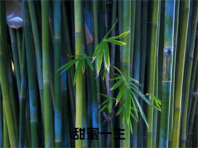 （甜蜜一生）凌田甜蜜一生最终篇章(凌田)全书在线无广告高口碑小说