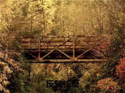 新章速递林齐是什么小说(反转传奇)完本阅读无广告（反转传奇）