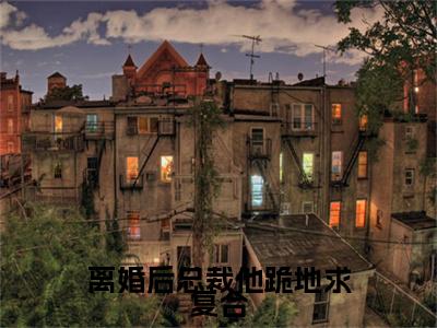 苏千瓷凌北谦小说番外+结局（离婚后总裁他跪地求复合）小说在线阅读