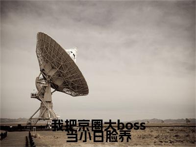 苏迎夕贺严燊：我把京圈大boss当小白脸养结局+番外精编之作完整章节列表_笔趣阁