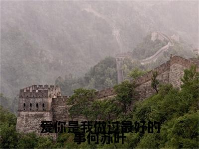 （爱你是我做过最好的事何苏叶）沈惜凡何苏叶延伸在线下载无广告章节清单