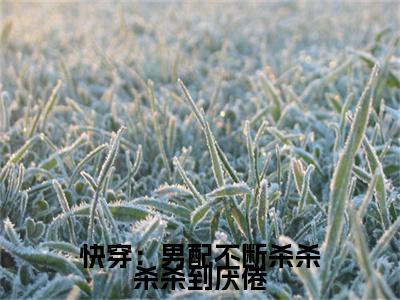 无弹窗全文（温言）快穿：男配不断杀杀杀杀到厌倦全文畅享阅读