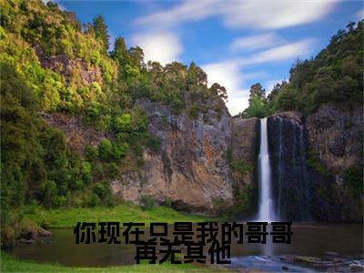 前传卫冥华杜潇芷续集:全文+番外你现在只是我的哥哥再无其他：结局+番外新上热文