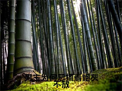 男主为何总抓着炮灰不放小说(顾幼鲸)外篇+结局（男主为何总抓着炮灰不放）全篇在线阅读