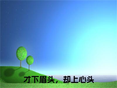 完结篇小说才下眉头，却上心头小说(江蓠祈宸)已更新+无删减（才下眉头，却上心头）无广告