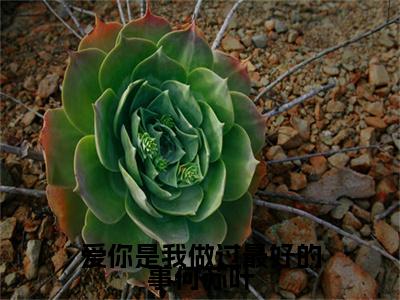 独家爱你是我做过最好的事何苏叶小说(沈惜凡何苏叶)（爱你是我做过最好的事何苏叶）电子书畅享阅读