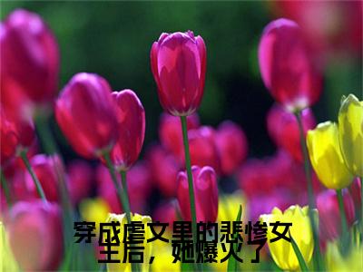 穿成虐文里的悲惨女主后，她爆火了完结篇(穿成虐文里的悲惨女主后，她爆火了)章节目录+章节前文（姜小姿）全章无套路在线