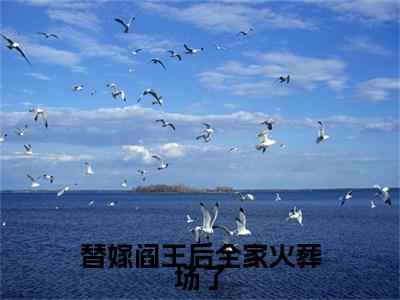 前传柳云珠宋启言续集(柳云珠宋启言)终章阅读极简（柳云珠宋启言）