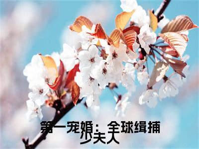 第一宠婚：全球缉捕少夫人尹凌澈顾安安完结篇全篇阅读无广告（尹凌澈顾安安）番外+续集