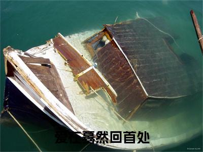 爱在蓦然回首处纪璇裴言昭完结篇（纪璇裴言昭）全篇免费版在线+无障碍结局