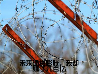 未来通货膨胀，我却赚了几百亿：结局+番外宝藏文高分小说顾满金瑶