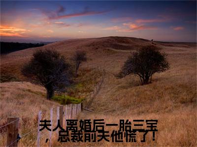 洛晚星谢南凛夫人离婚后一胎三宝，总裁前夫他慌了！续集(洛晚星谢南凛)终极反转（夫人离婚后一胎三宝，总裁前夫他慌了！）全篇一口气阅读