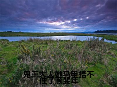 （孟时音顾斐年）：+后续+番外 鬼王大人她马甲捂不住了顾斐年后续全本浏览阅读
