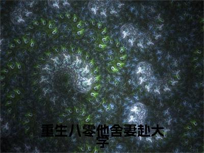 重生八零他舍妻赴大学：+番外+后续（宋时安傅心岚）番外章节列表