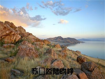 陆昀峥苏玥淼小说无删减+后续（苏玥淼陆昀峥）畅享阅读