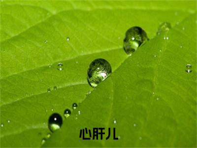 心肝儿盛年江逾白彩蛋小说结尾+附加（盛年江逾白）清爽版阅读