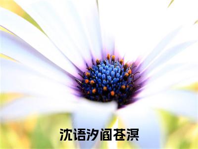 （沈语汐阎苍溟）阎苍溟沈语汐沈语汐阎苍溟无删减小说在线无广告高口碑小说