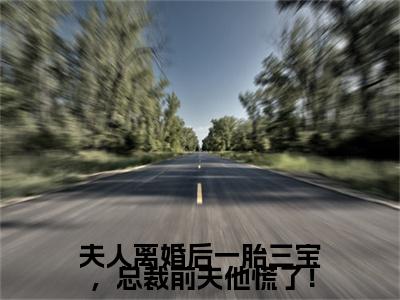 夫人离婚后一胎三宝，总裁前夫他慌了！后续(夫人离婚后一胎三宝，总裁前夫他慌了！)（洛晚星谢南凛）完整章节列表_笔趣阁