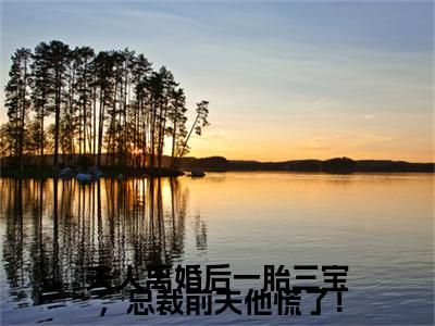 洛晚星谢南凛：结局+番外新上热文（夫人离婚后一胎三宝，总裁前夫他慌了！）全篇免费版在线+无障碍结局