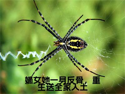 完结篇小说嫡女她一身反骨，重生送全家入土小说(沈栖姻)已更新+无删减（嫡女她一身反骨，重生送全家入土）无广告
