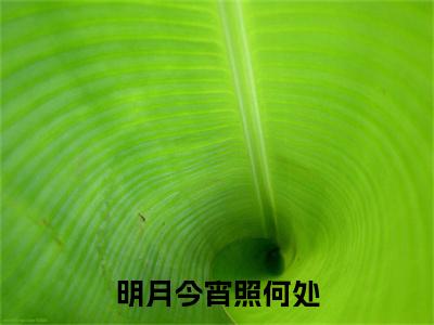 鹿嘉禾贺砚州小说完整在线阅读（明月今宵照何处）前传列表