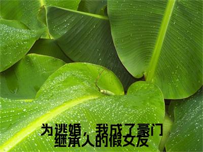 为逃婚，我成了豪门继承人的假女友后续（宋褚齐今幼）全篇在线阅读前传