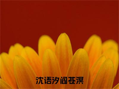 阎苍溟沈语汐小说完本章节前文+全篇阅读（沈语汐阎苍溟）连载中