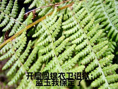 朱云小说(开局闯锦衣卫诏狱：蓝玉我保定了)+前传（朱云）阅读