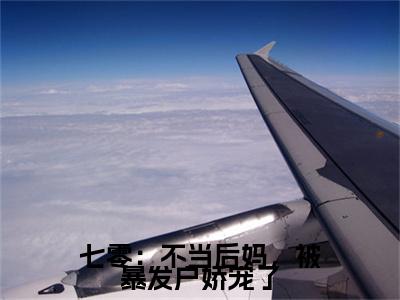 热文推荐七零：不当后妈，被暴发户娇宠了小说大结局（江泽宋晚月）书荒必看列表
