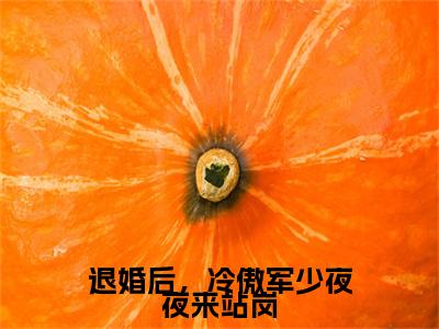 退婚后，冷傲军少夜夜来站岗小说(退婚后，冷傲军少夜夜来站岗)（霍睿扬夏安然）前传+阅读全新作品预订