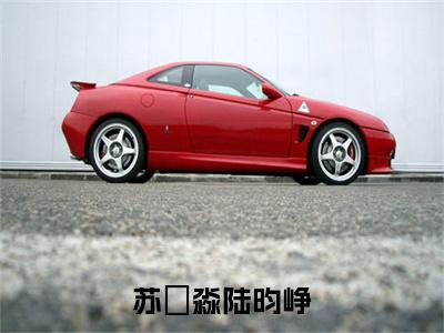 苏玥淼陆昀峥小说(陆昀峥苏玥淼)小说结尾+隐藏篇章（苏玥淼陆昀峥）畅享阅读