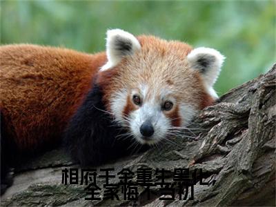 全网首发相府千金重生黑化，全家悔不当初彩蛋(沈知珩姜漾)（相府千金重生黑化，全家悔不当初）全本完整阅读无弹窗