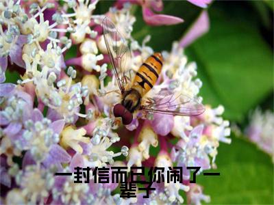（一封信而已你闹了一辈子）佟月笙韩在野：+番外+后续起点章节+阅读即将发布预订
