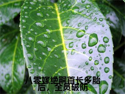 八零嫁绝嗣首长多胎后，全员破防是什么小说(陆时宴顾锦书)（八零嫁绝嗣首长多胎后，全员破防）全本完整清爽版在线+无广告结局