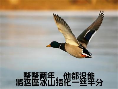 最新章节_笔趣阁（于之意江瑾宸）于之意江瑾宸小说(整整两年，他都没能将这座冰山捂化一丝半分)在线畅读阅读