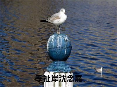 终章小说沈念嘉季祉岸：结局+番外(季祉岸沈念嘉)已更新+延伸（季祉岸沈念嘉）清爽版