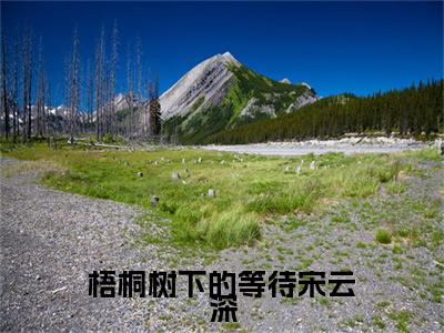 梧桐树下的等待宋云深：结局+番外新上热文（夏秋桐宋云深）:全文+番外+纯净版结局