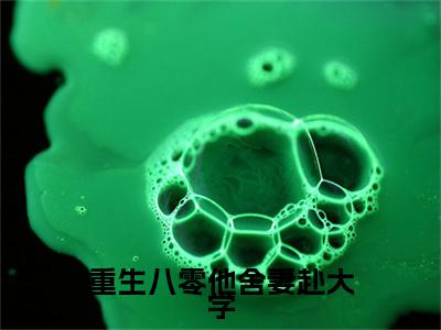 重生八零他舍妻赴大学 小说小说全集+延伸+完本（宋时安傅心岚）畅享在线阅读