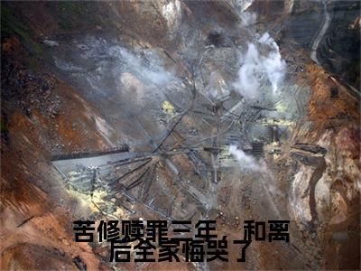 （宋佑宁秦枭）宋佑宁秦枭小说(苦修赎罪三年，和离后全家悔哭了)小说全集速览无广告高口碑小说