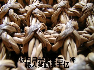 （陈昊）被白月光抛弃后，神秘人奖励我千亿陈昊最终篇章(被白月光抛弃后，神秘人奖励我千亿)全书在线无广告高口碑小说
