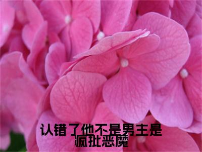 （纪雪礼段清聿）认错了他不是男主是疯批恶魔最终篇章章节在线无广告高口碑小说