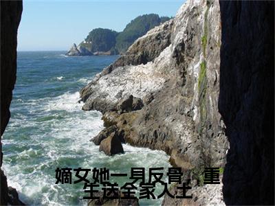小说嫡女她一身反骨，重生送全家入土沈栖姻(嫡女她一身反骨，重生送全家入土)已更新+无删减（沈栖姻）